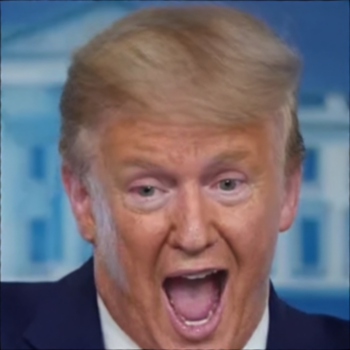 live-portrait-image - AI model preview image