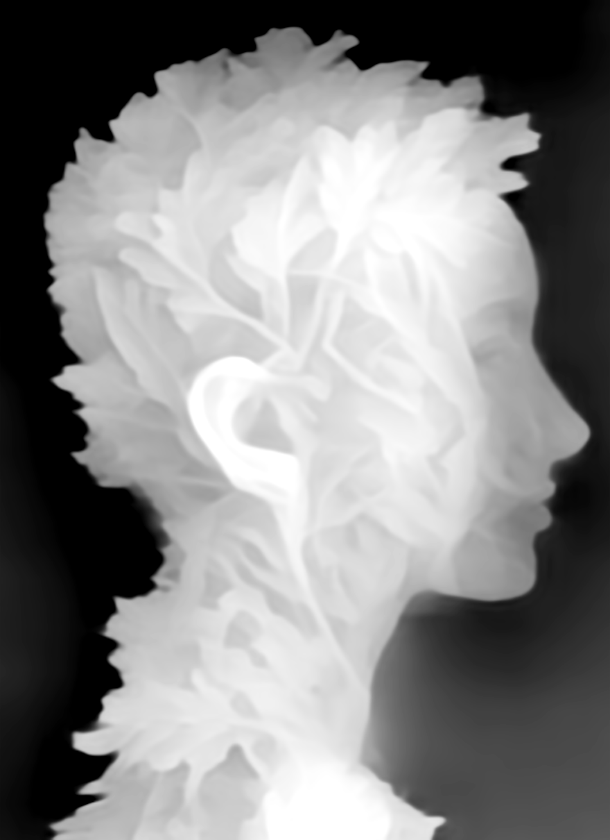 zoedepth - AI model preview image