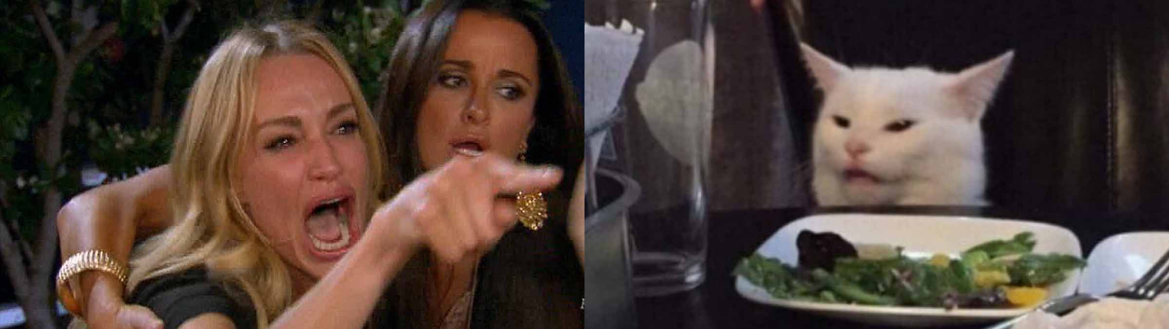 hate-speech-detector - AI model preview image