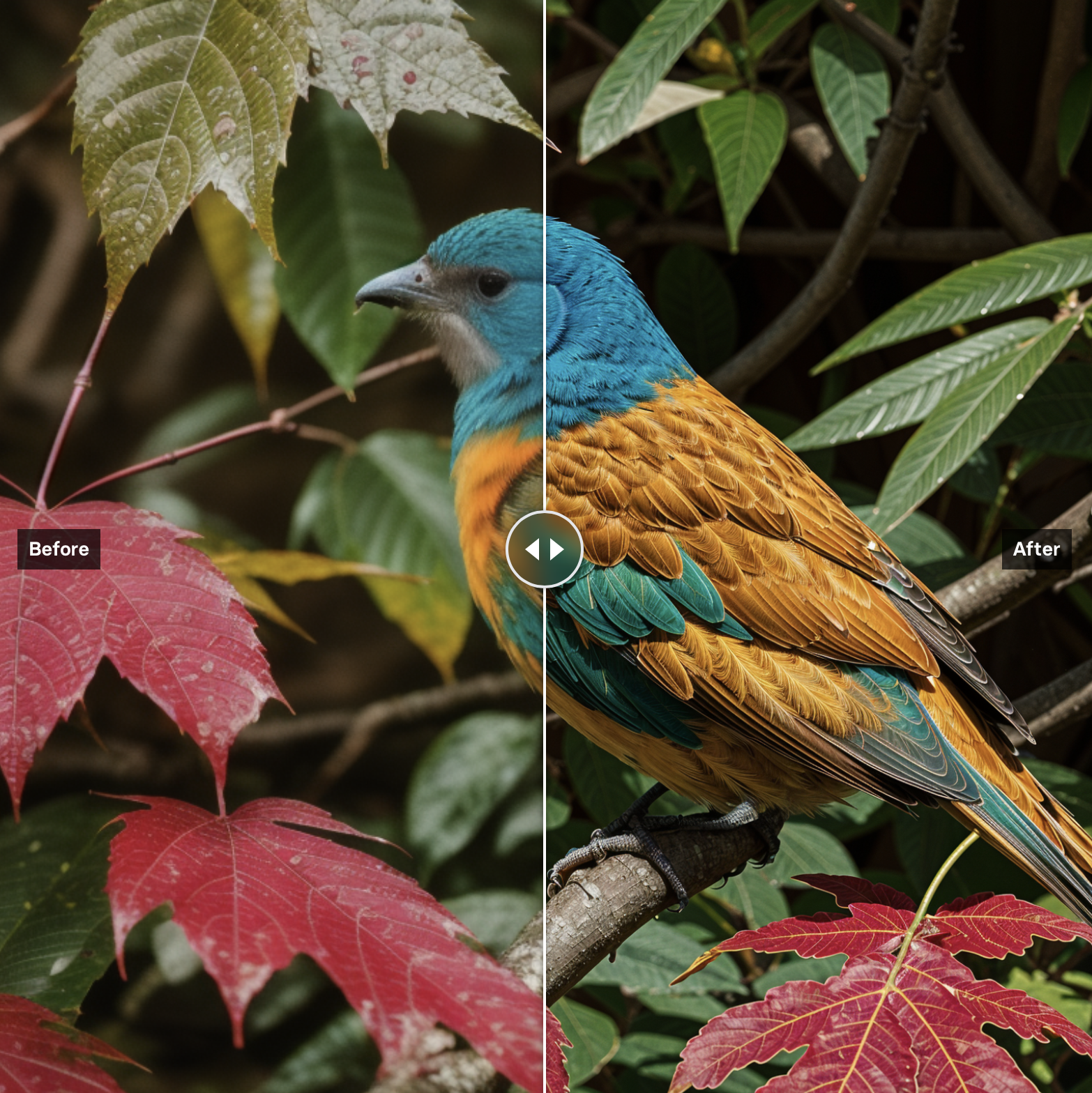 clarity-upscaler - AI model preview image