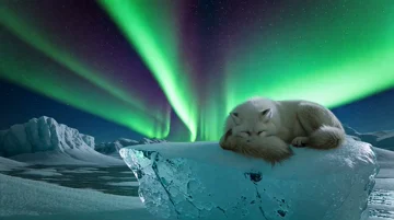 pixverse-v5 - AI model preview image