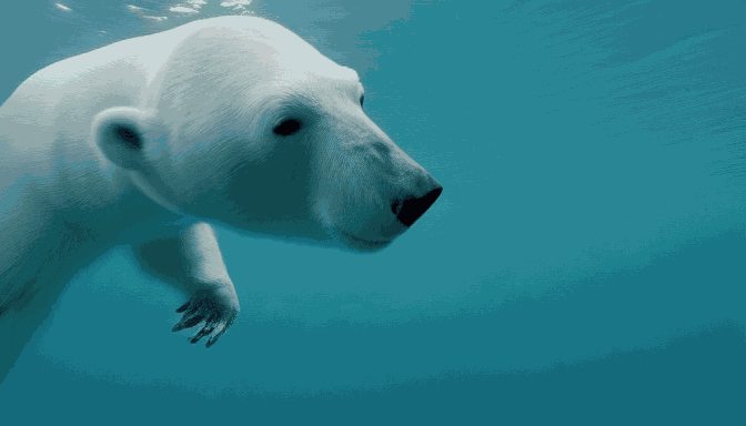 hotshot-xl - AI model preview image